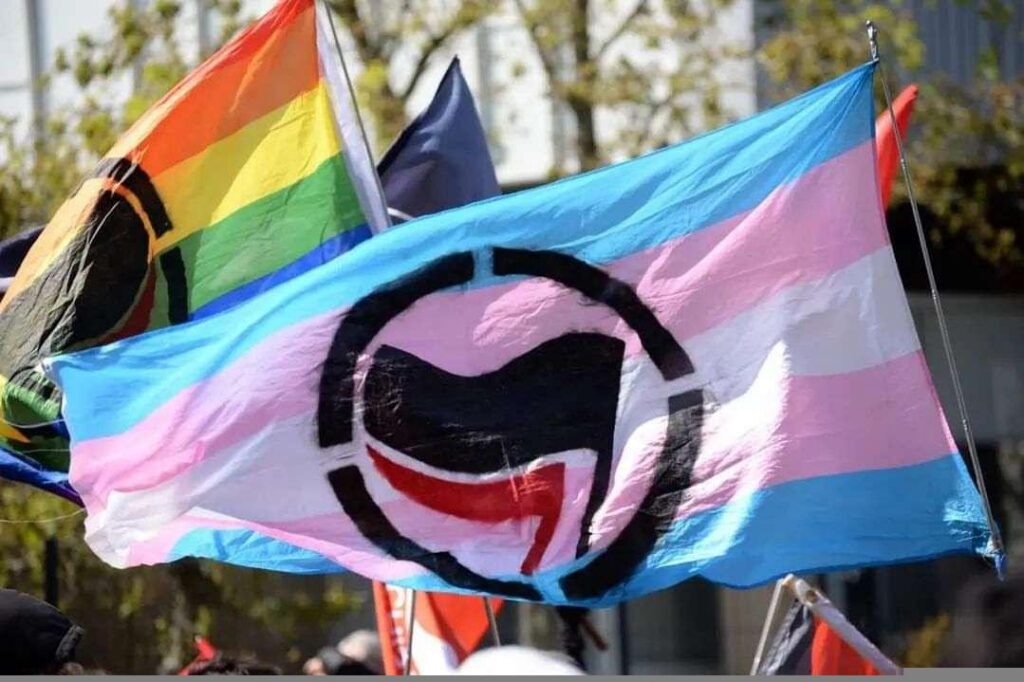 Photo de drapeau dans une manif. Un drapeau LGBT et un drapeau trans. Tous ont un drapeau antifasciste peint dessus.